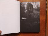 Sandis Laime "Nakts raganas" 2013 metai - nuotraukos Nr. 7