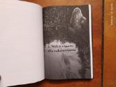 Sandis Laime "Nakts raganas" 2013 metai - nuotraukos Nr. 9