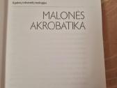 Malonės akrobatika - nuotraukos Nr. 2