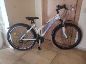 Sportinis Aliuminis dv.10-18m.mergaitei