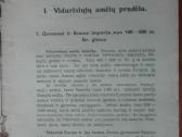 2038. Viduriniųjų Amžių Istorija R. Viperis - nuotraukos Nr. 2