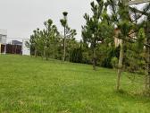 Namas ypač ramioje vietoje Šiaulių mieste - nuotraukos Nr. 3