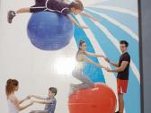 Gymnic kamuolys 120cm.