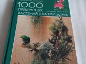 1000 прекрасных растений в вашем доме