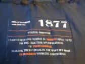 Helly Hansen workwear striukė - nuotraukos Nr. 10