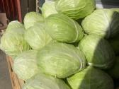 Bulvės ir kitos Daržovės i namus - nuotraukos Nr. 4