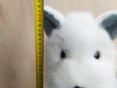 Ne naujas pliušinis šuniukas apie 42cm - nuotraukos Nr. 6