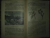 2063. Популярныя Лекцiи По Астрономiи К. Фламмарiо - nuotraukos Nr. 17