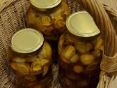 Poniabudės / žemės taukai / vesiolka - nuotraukos Nr. 7