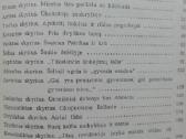 2073. Susipažinkite: Airija Ustimenka J. V. - nuotraukos Nr. 2