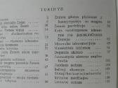 2076. Kaip Susidaro Naudingosios Iškasenos V. Vasi - nuotraukos Nr. 2