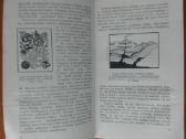 2076. Kaip Susidaro Naudingosios Iškasenos V. Vasi - nuotraukos Nr. 3