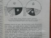 2076. Kaip Susidaro Naudingosios Iškasenos V. Vasi - nuotraukos Nr. 4