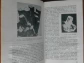 2076. Kaip Susidaro Naudingosios Iškasenos V. Vasi - nuotraukos Nr. 6