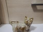 Kates- figuros - nuotraukos Nr. 5