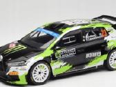 Rally modeliukai