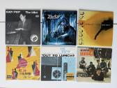 100+ vinilinės plokštelės - nuotraukos Nr. 7