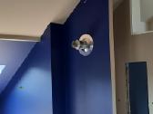 Apdailos darbai - nuotraukos Nr. 7