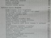 2083. Įdomioji Astronomijs J. I. Perelmanas - nuotraukos Nr. 6