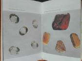 2091. Mineralų Paslaptys Kartavičius A. - nuotraukos Nr. 4