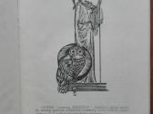 2096. Minervos Pelėda Volkovas G. N. - nuotraukos Nr. 2