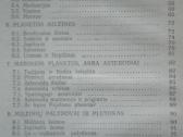2102. Saulės Šeima Juška A. - nuotraukos Nr. 6