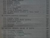 2102. Saulės Šeima Juška A. - nuotraukos Nr. 7