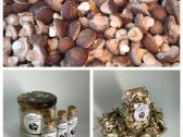 Shiitake grybai, parduodame