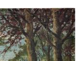 (Lenta, Aliejus), 37.7x27.5 см kaina 20 euru - nuotraukos Nr. 5