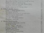 2112. Pasaulio Praeitis Slavėnas P. - nuotraukos Nr. 9