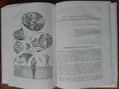 2115. Оружие Мысли Горбачевский Б. - nuotraukos Nr. 6