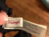 Triumph liemenukas - nuotraukos Nr. 5