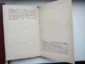 Palaimink ir lapus, ir ugnį - nuotraukos Nr. 8