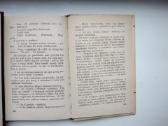 Palaimink ir lapus, ir ugnį - nuotraukos Nr. 7
