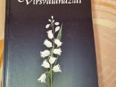 Viršvalandžiai