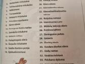 Sūrio spalvos automobilinis namelis - nuotraukos Nr. 4