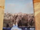 Gyvenimo tėkmėje - nuotraukos Nr. 7