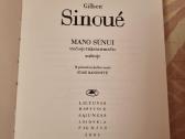 Mano sūnui trečiojo tūkstantmečio aušroje - nuotraukos Nr. 2