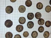 Carinės Rusijos sagos - nuotraukos Nr. 14