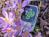 Xiaomi Redmi Watch 4