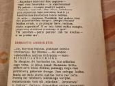 Lietuviškas dienoraštis , dirbantis amerikietis - nuotraukos Nr. 5