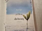 Tarp pilkų debesų
