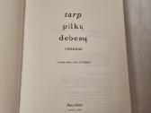 Tarp pilkų debesų - nuotraukos Nr. 2