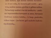 Laiko tiek nedaug - nuotraukos Nr. 2