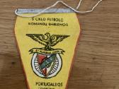 Gairelės Iš Ciklo Europos Futbolo Komandų Emblemos - nuotraukos Nr. 11