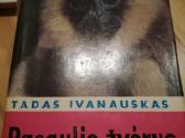 Tadas Ivanauskas ,g.isokas ,fauna ,draustiniai-kny - nuotraukos Nr. 10