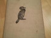 Tadas Ivanauskas ,g.isokas ,fauna ,draustiniai-kny - nuotraukos Nr. 19