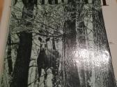 Tadas Ivanauskas ,g.isokas ,fauna ,draustiniai-kny - nuotraukos Nr. 25
