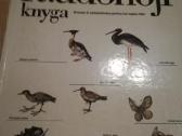 Tadas Ivanauskas ,g.isokas ,fauna ,draustiniai-kny - nuotraukos Nr. 27