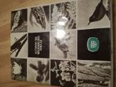 Tadas Ivanauskas ,g.isokas ,fauna ,draustiniai-kny - nuotraukos Nr. 37